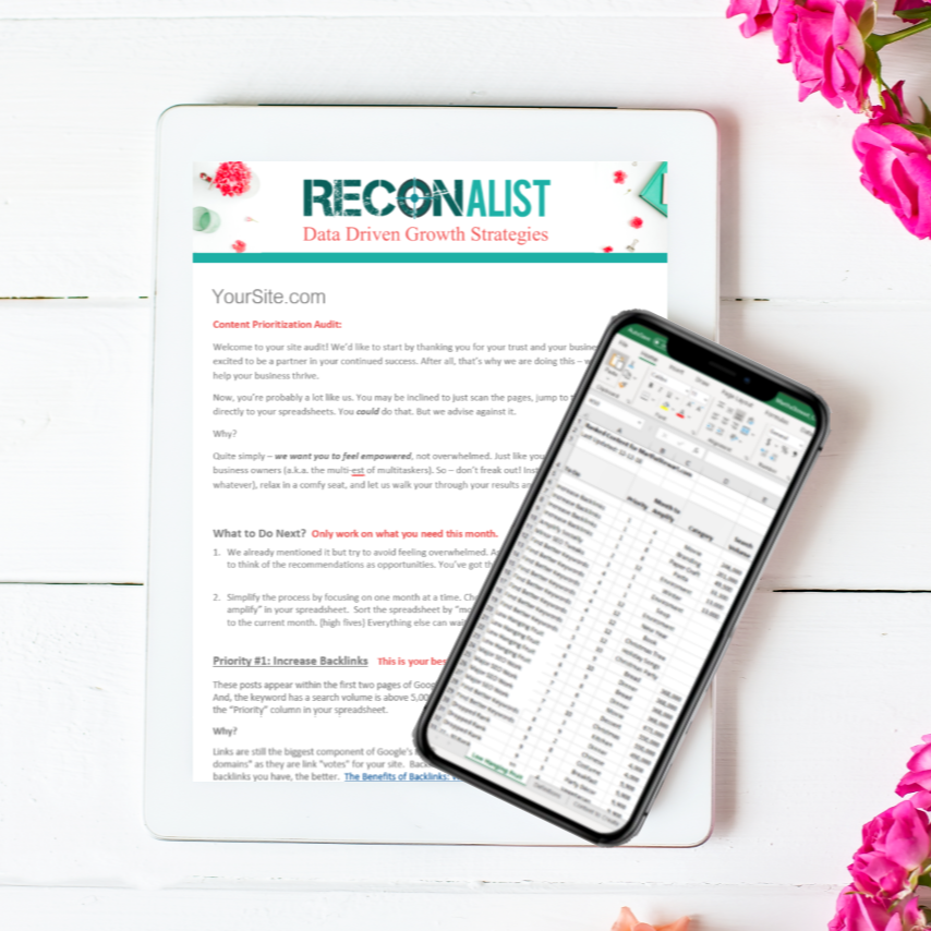 Content Prioritization Audit Reconalist